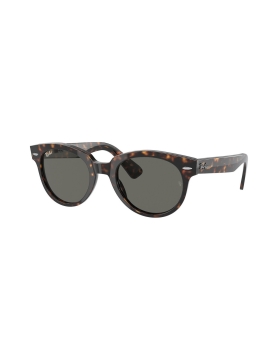 Ray-Ban RB2199 Orion 902/B1