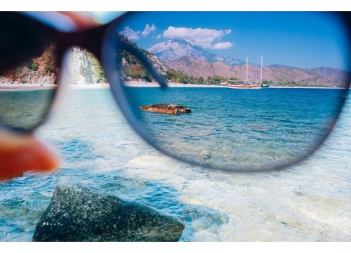 Seeing the World Through Polaroid Lenses
