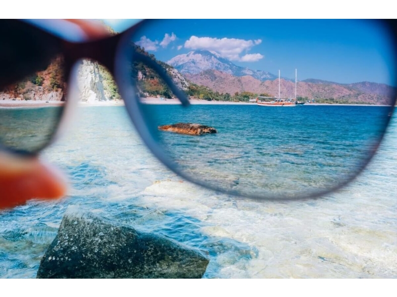 Seeing the World Through Polaroid Lenses