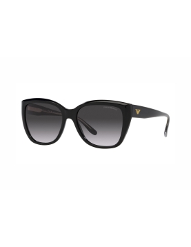 Emporio Armani EA4198 50178 G 55