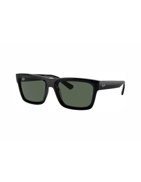 Ray-Ban RB4396-667771 54