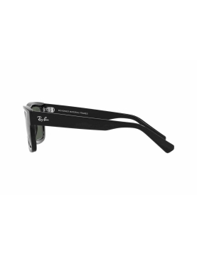 Ray-Ban RB4396-667771 54