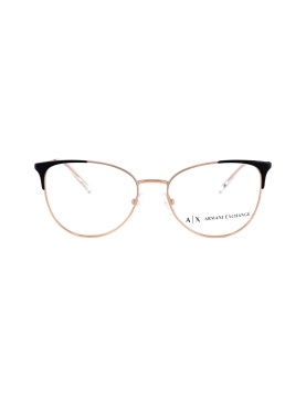 Armani Exchange AX1034 6106 52