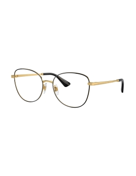 Dolce&Gabbana DG1355 1334 55
