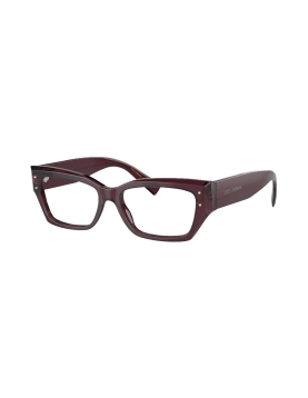 Dolce&Gabbana DG3387 3045 53