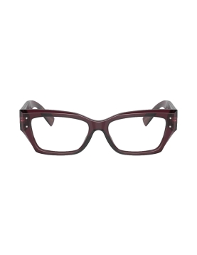 Dolce&Gabbana DG3387 3045 53