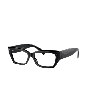 Dolce&Gabbana DG3387 501 53