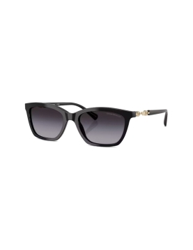 Emporio Armani EA4238 5017/8G 54