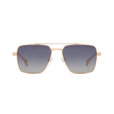 Despada DS 2330 C1 men sunglasses