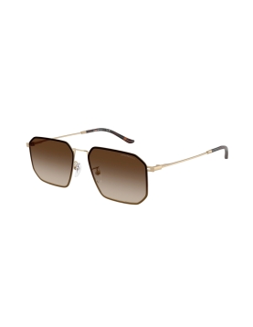 Emporio Armani 2165D 3002/13