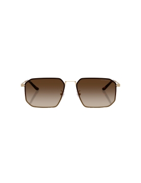 Emporio Armani 2165D 3002/13
