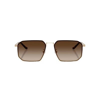 Emporio Armani 2165D 3002/13 men sunglasses