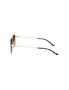 Emporio Armani 2165D 3002/13