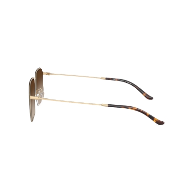 Emporio Armani 2165D 3002/13 men sunglasses