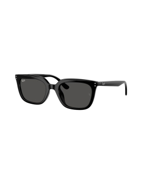 Ray-Ban RB4439D 901/87 54