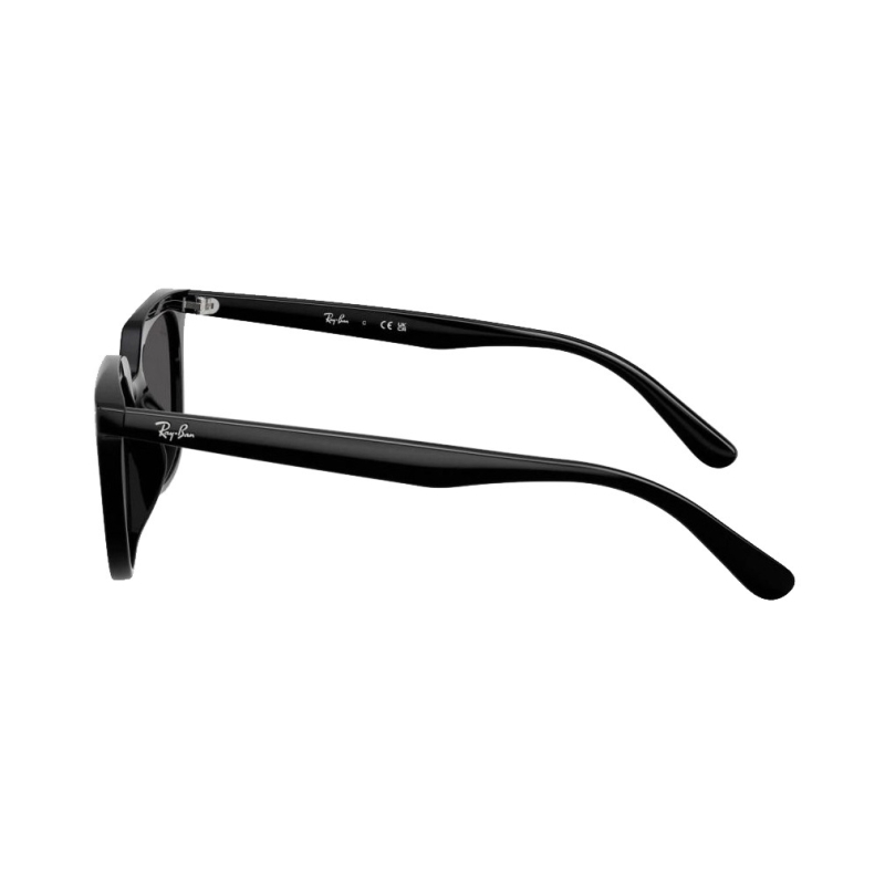 Ray-Ban RB4439D 901/87 54