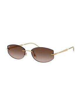 Ray-Ban RB3792 001/13 55